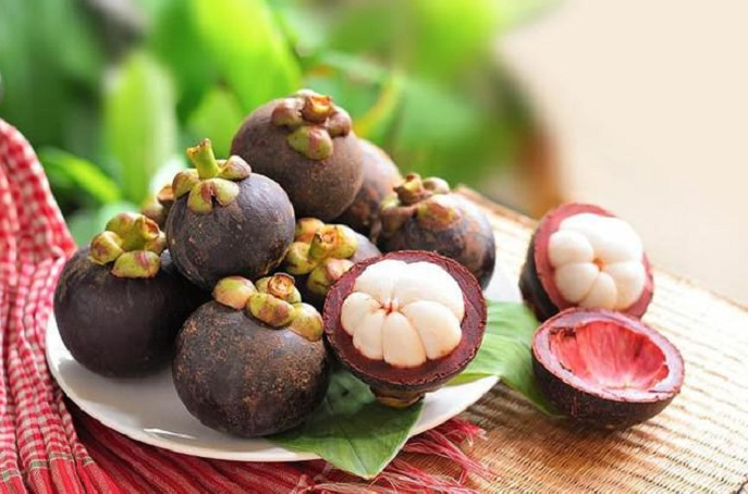 cho-co-an-duoc-mang-cut-khong-2