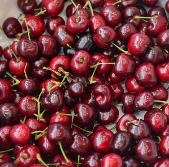 cho-co-an-duoc-cherry-khong