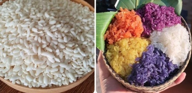 cho-co-an-duoc-gao-nep-khong