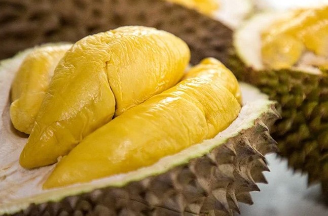 cho-co-an-duoc-sau-rieng-khong