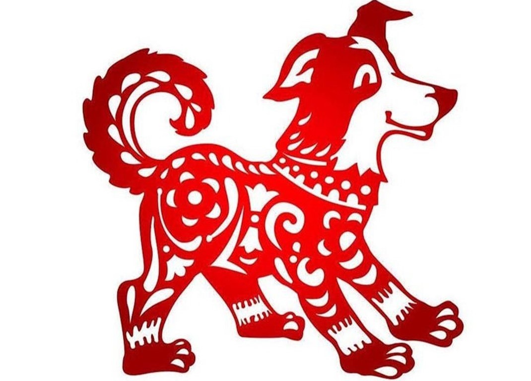 tuoi-tuat-co-nen-nuoi-rua-khong